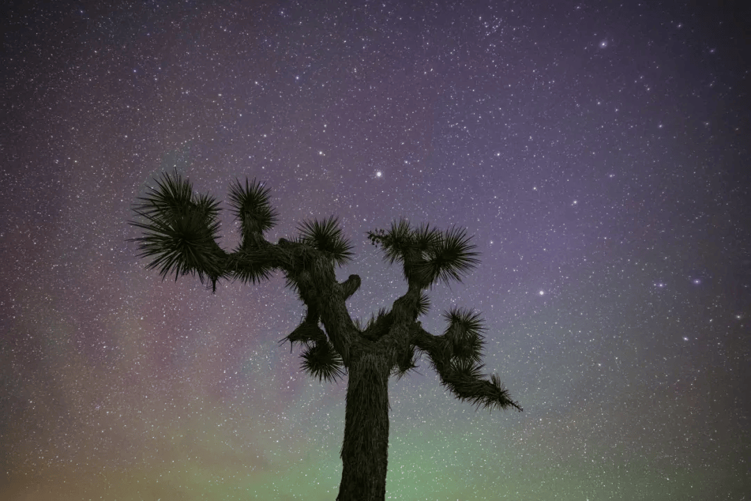 笔记 | 捕光捉影,逐日之旅,用z 9记录2024全球唯一的日全食