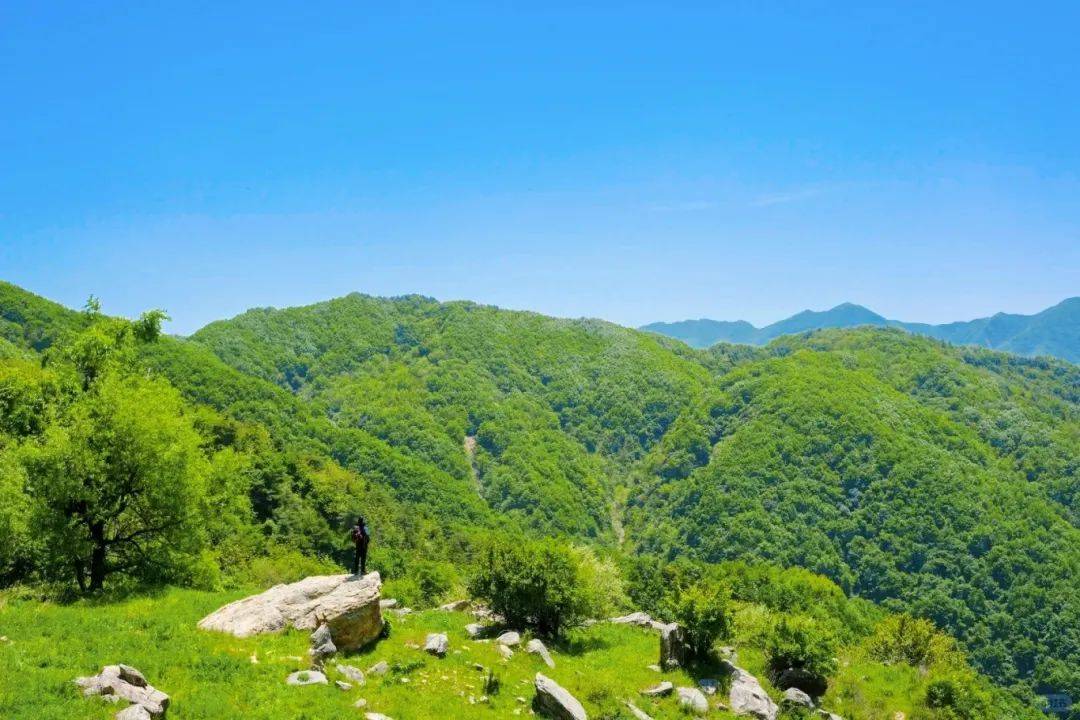 徒步穿越流峪高山草甸!探访秦岭"阿勒泰"!看高山田园风光!