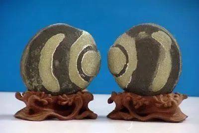 圆乎乎的像地雷,一个个都是"金疙瘩"的铁胆石你见过吗?