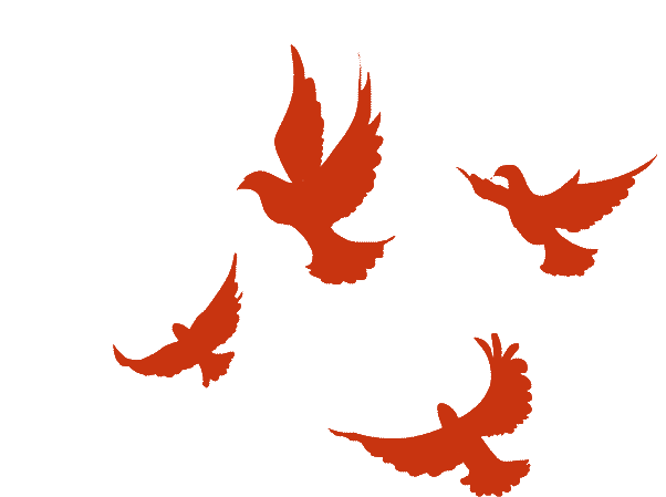 喜报|我院优秀毕业生谢煜荣获"宁波市劳动模范"称号