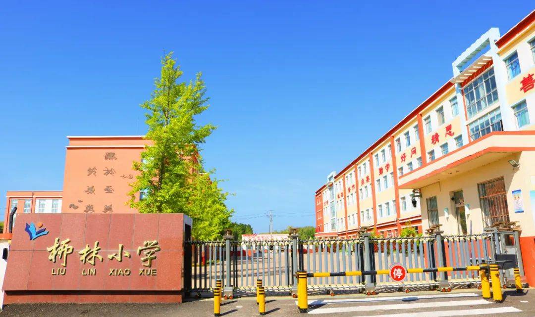魅力校园风采展 | 文登区柳林小学——臻美笃行 美润人生