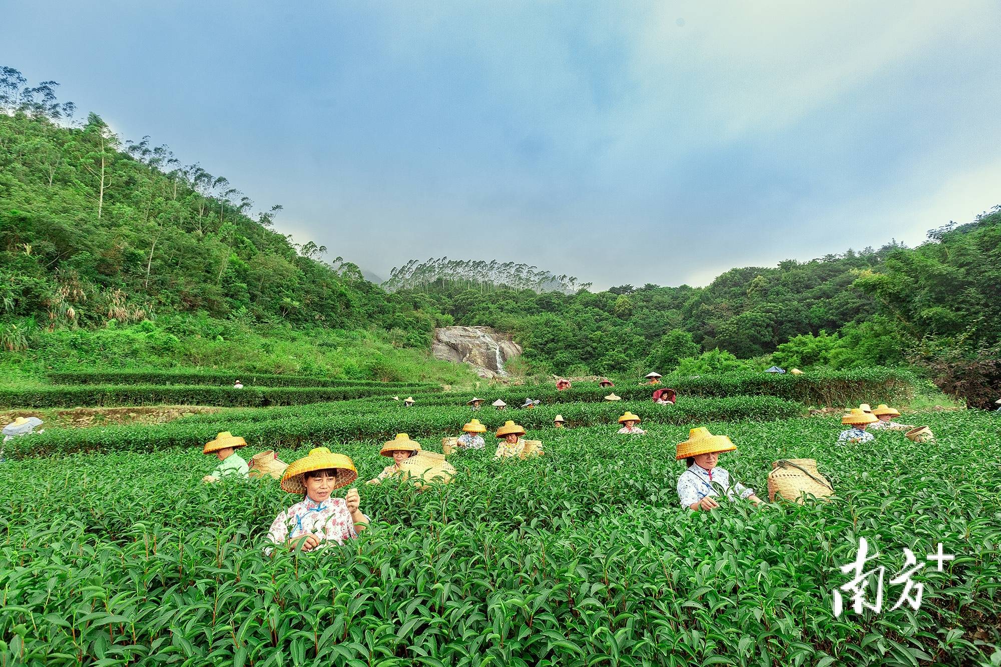 惠州文旅重镇如何打造"出圈"新地标?|镇委书记打擂台