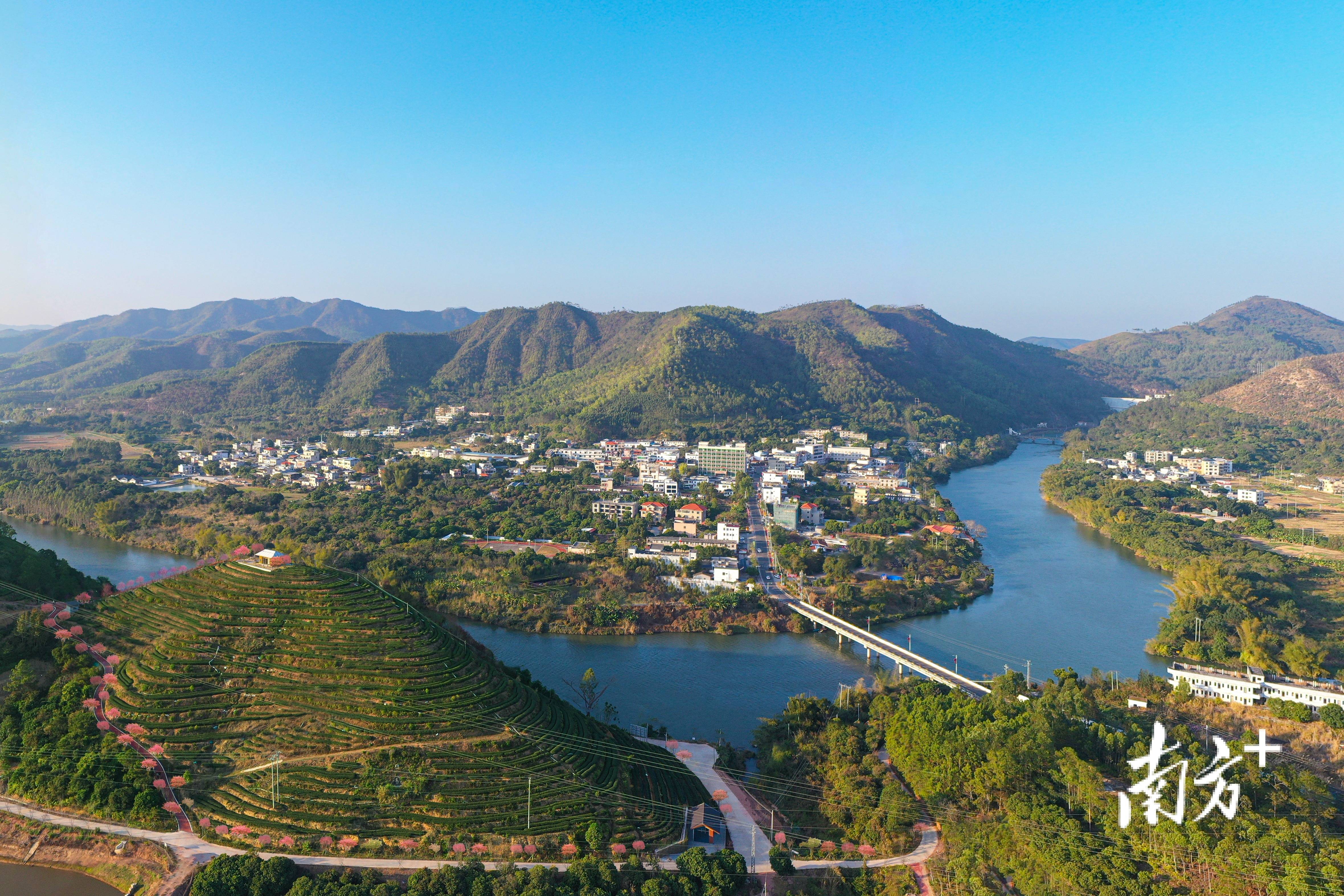 惠州文旅重镇如何打造"出圈"新地标?|镇委书记打擂台