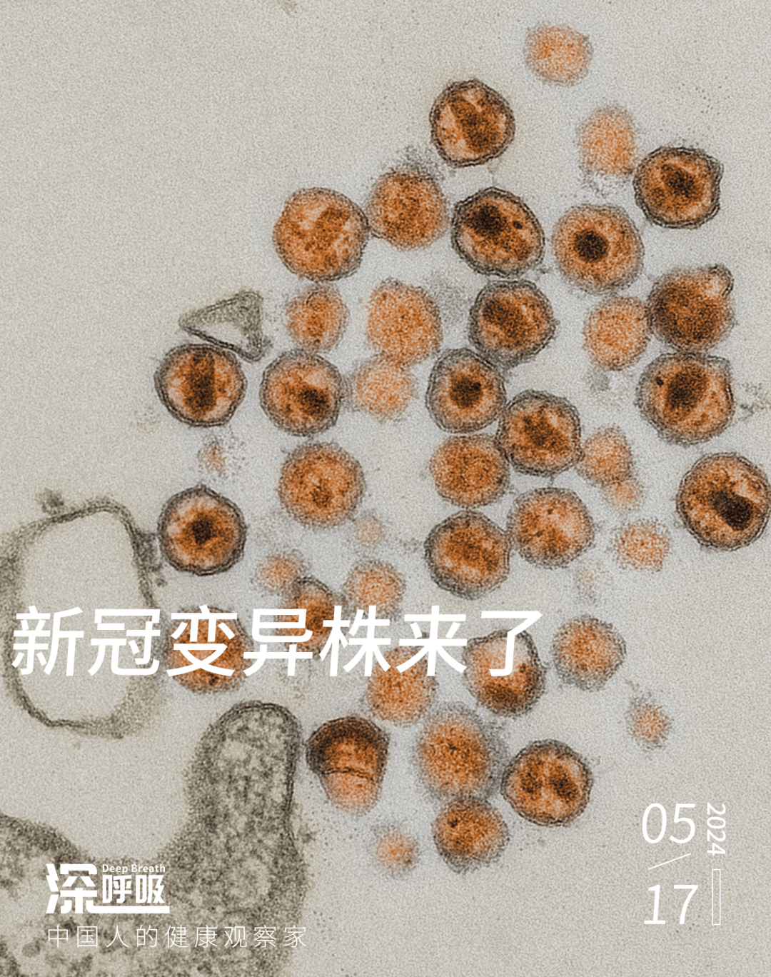 新冠病毒新变种KP.2首次在广东发现，将更具传染性