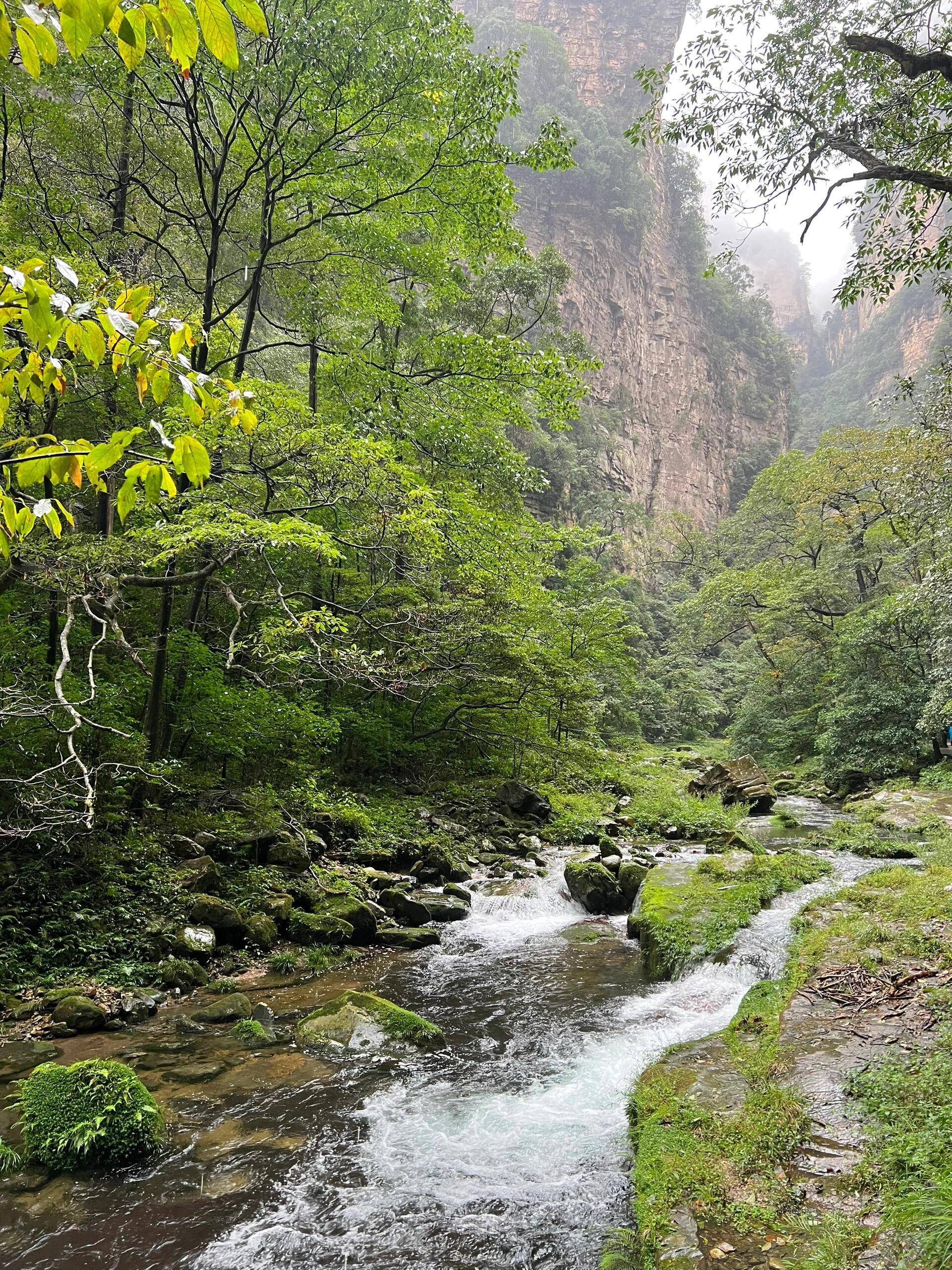 张家界旅游2天1晚跟团 ,吃喝玩乐交通全打包,给你纯粹的干货