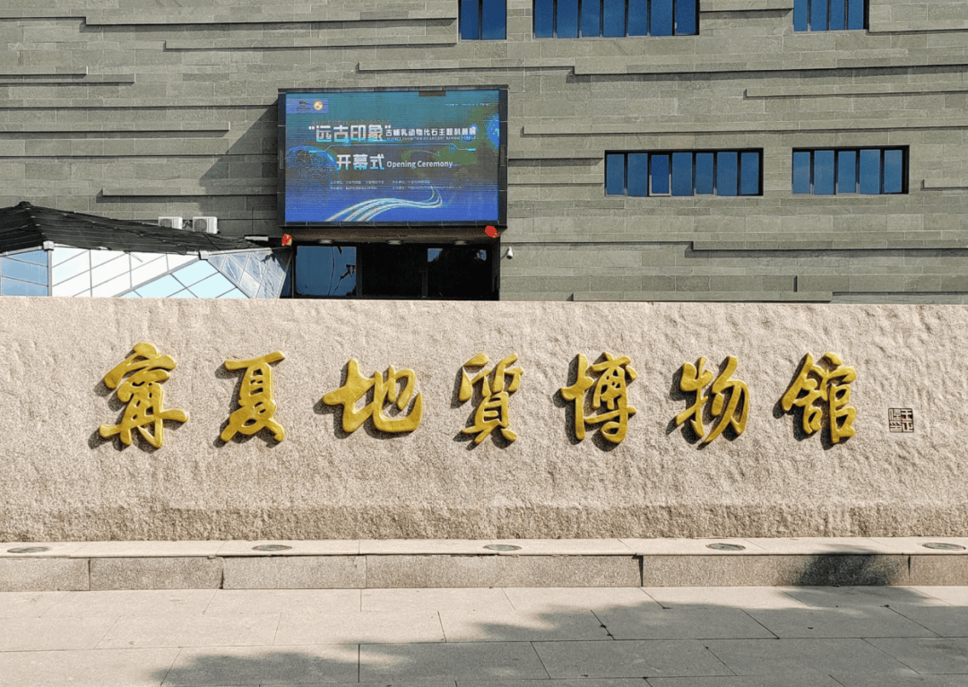 宁夏每10万人拥有一座博物馆 人均博物馆占有量居全国第二