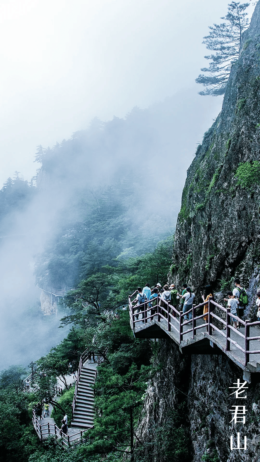 茅盾文学奖获得者——乔叶笔下的老君山有多美