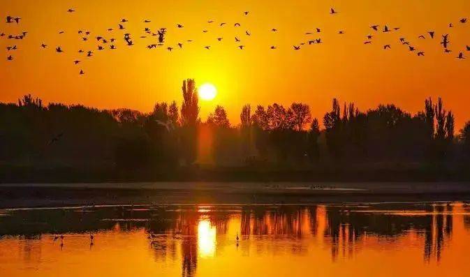 光与影相遇,交织出金昌的别样美丽