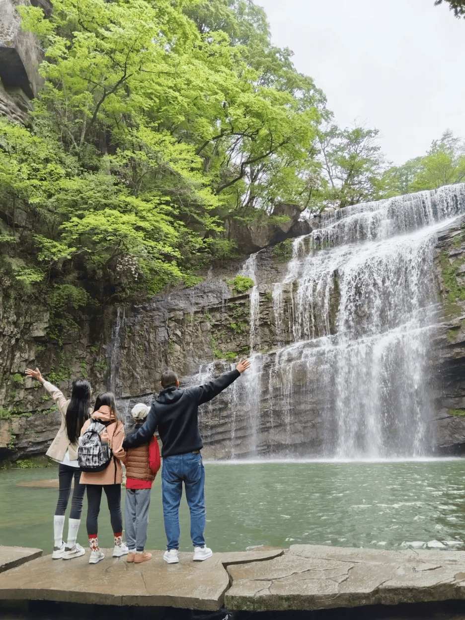 全民免门票!汉中一热门景区官宣!_黎坪_旅游_咨询电话