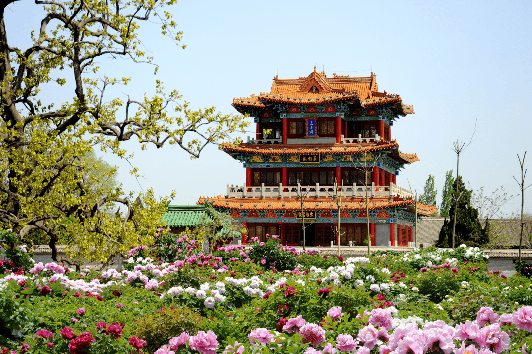 菏泽市a级旅游景区优惠政策公布!