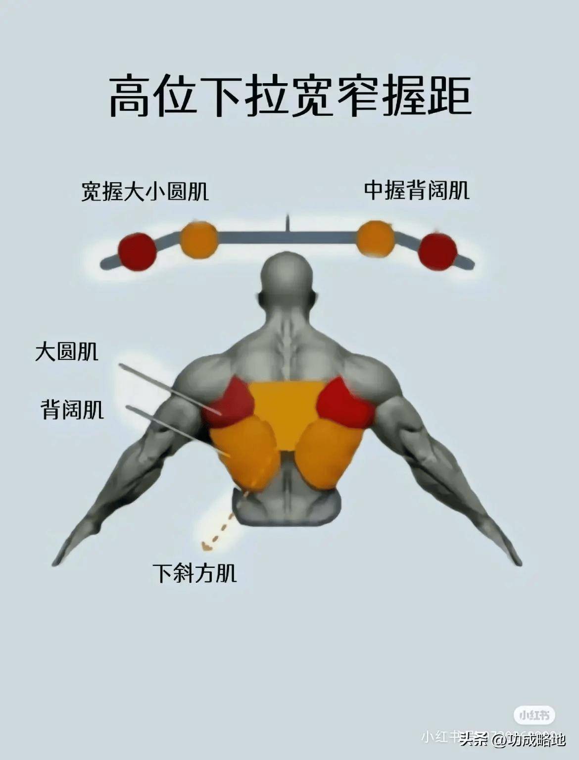"科学拉伸:让背部更宽广的健康运动选择"