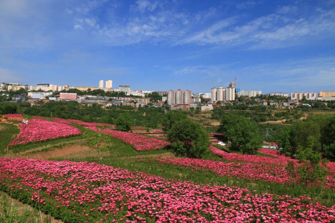 中国气候宜居县·宜游篇 有一种风景叫人在画中游