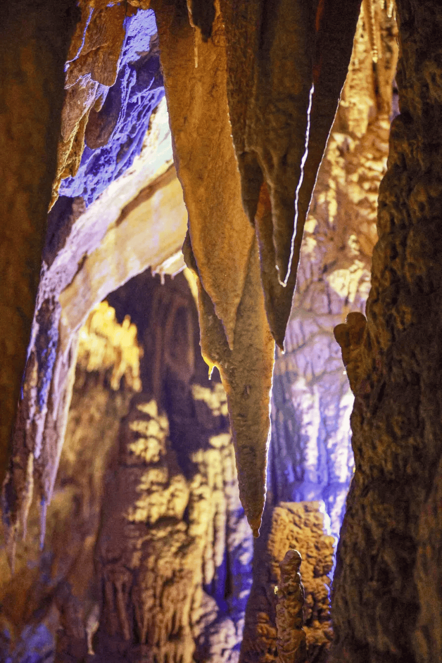 今天起,贵州这个5a级景区免费开放一周_旅游_织金洞_活动