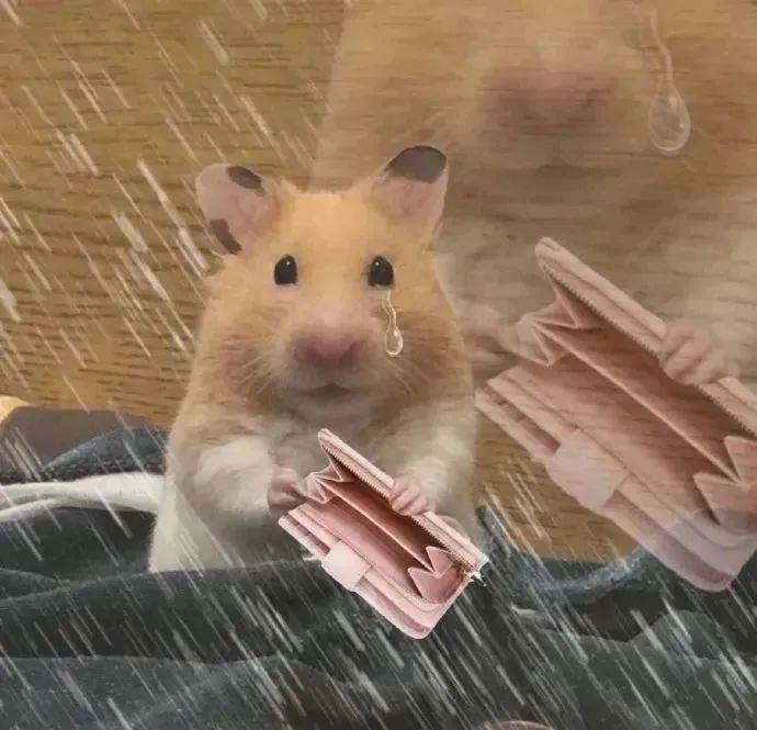 可可爱爱实用的表情包