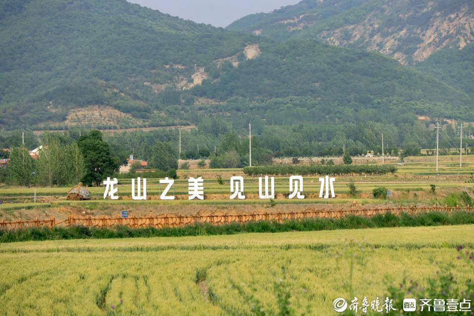 从"单打独斗"到"串景成链"!莒县龙山镇放大农旅融合聚集效应