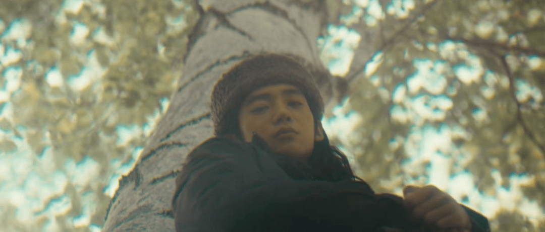 有一种生命力,叫阿勒泰_电视剧_生活_李文秀