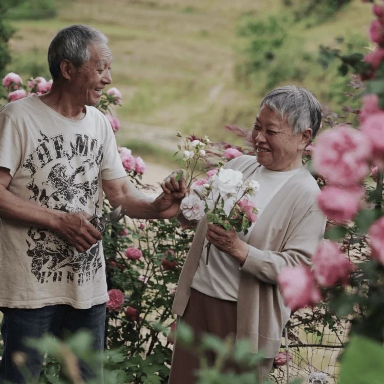 人民网 🌸正版澳门管家婆资料大全🌸|中新健康｜2.66亿天价罚单背后，还有谁在国家药品集采中钻空子？