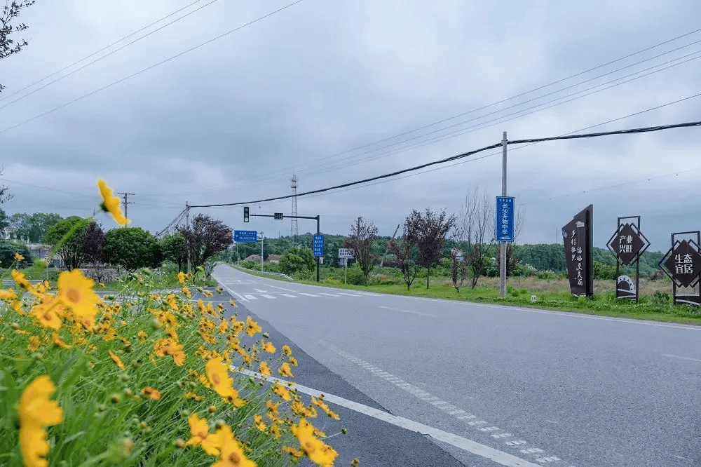 长沙这条路入选