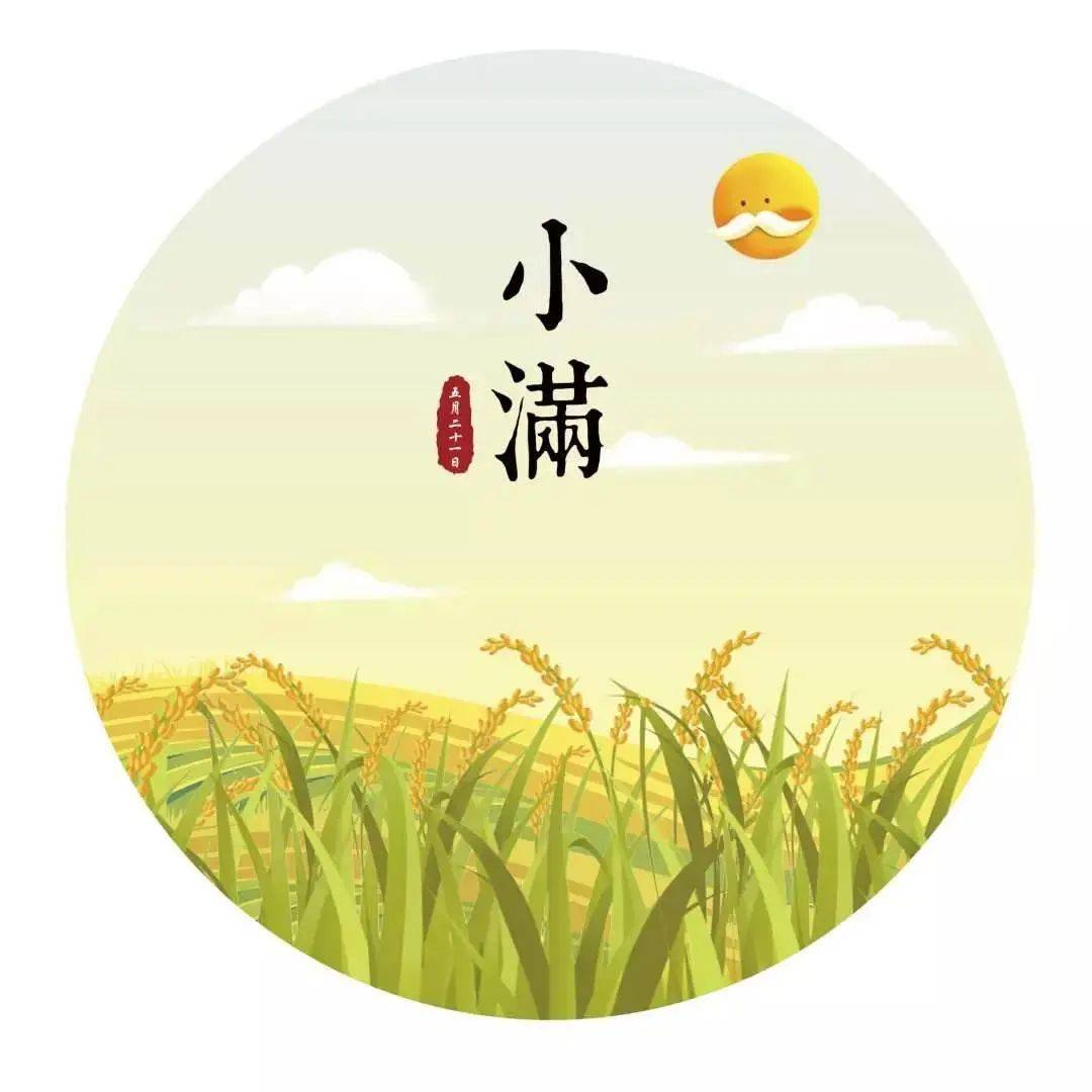 小满至,夏季到丨沪语讲节气