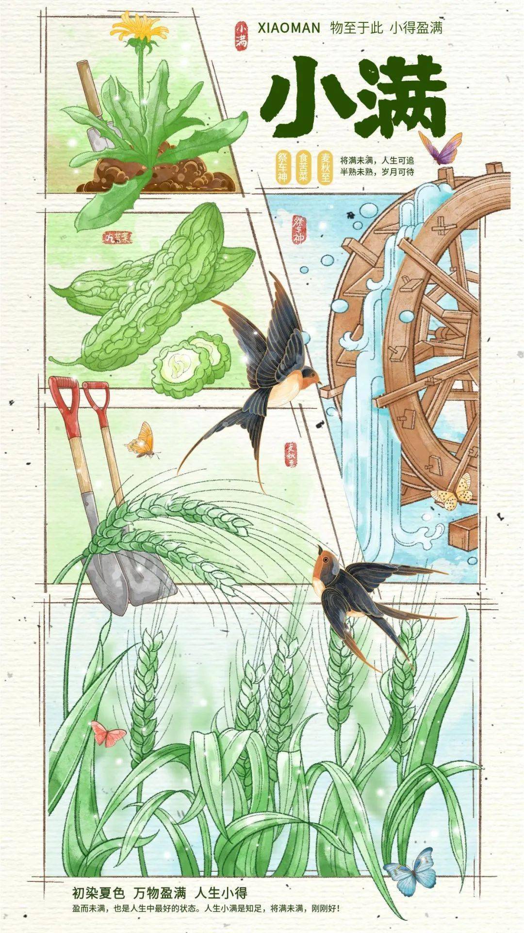 小得盈满物至于此大麦等夏收作物已经开始结果,籽粒逐渐饱满.