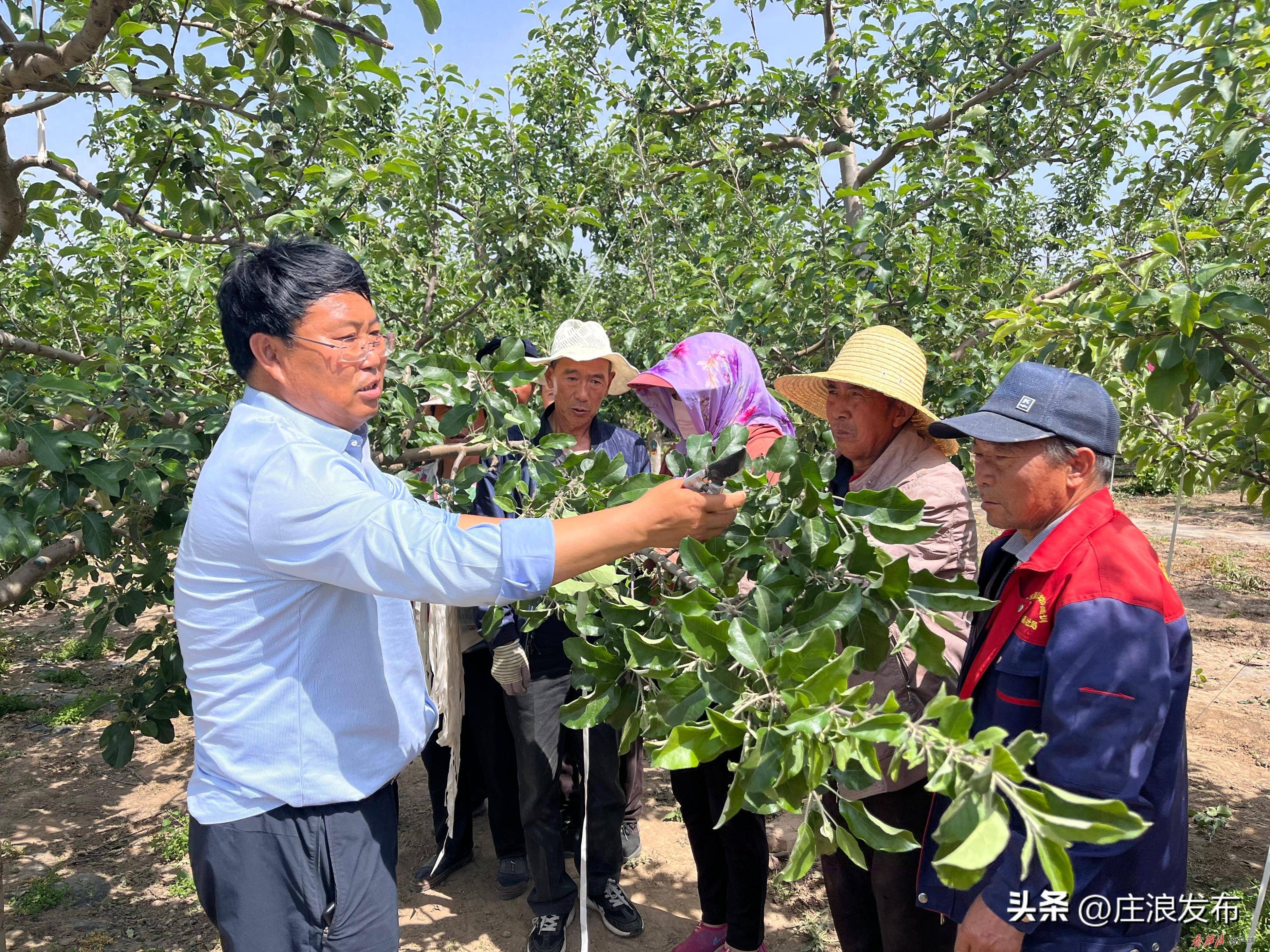 好奔头柴油三轮车图片