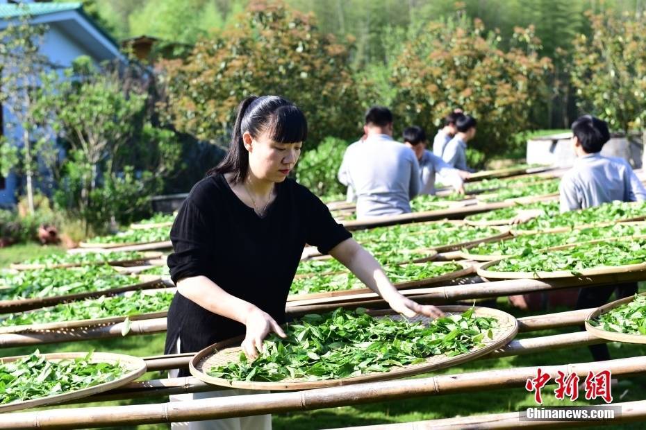 🌸【2024一肖一码100%中奖】🌸-为什么国际投行对理想汽车有信心？  第3张