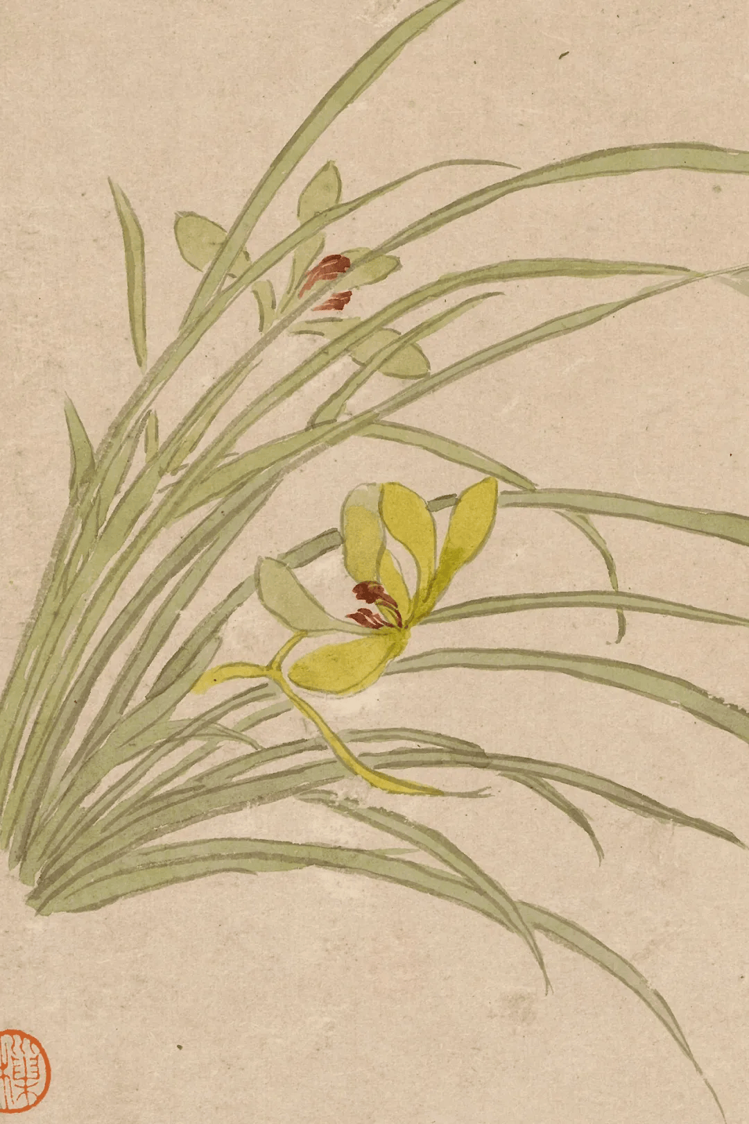 这小写意花鸟册,太美了