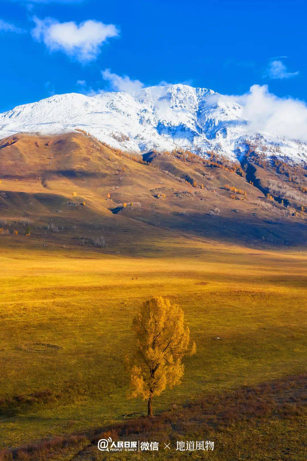 最美雪山草原风景图片图片