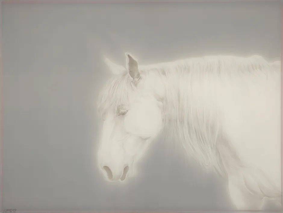 李文峰,照夜之白,70cmx90cm,丝网水墨,2021li wenfengs,white light