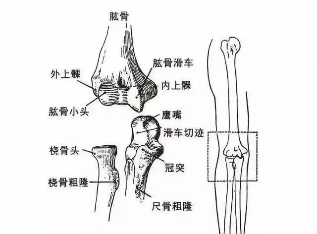 由于10岁以下孩子肱骨髁上处前后扁薄而内外宽,呈鱼尾状,易发生折断