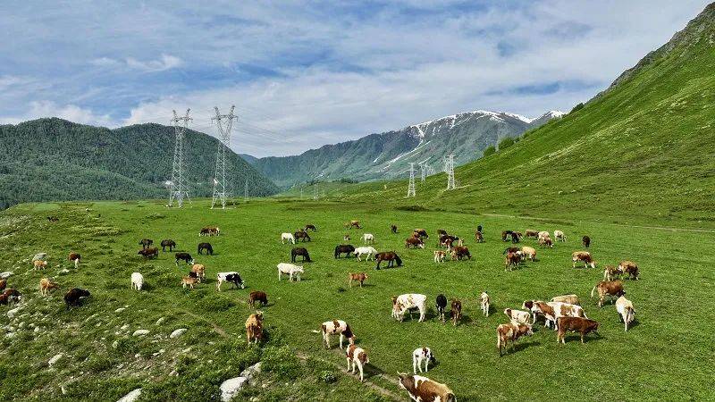 在新疆阿勒泰地区布尔津县禾木哈纳斯蒙古族乡,110千伏吉克普林输电