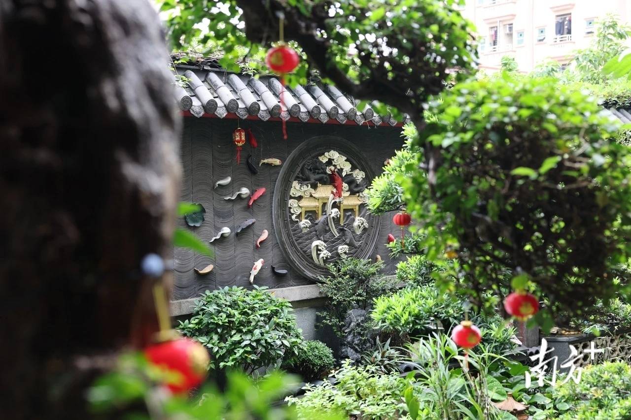 赏心悦目!"厚街庭院"太美了