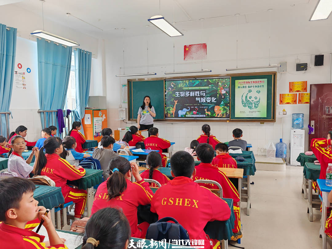 🌸【香港二四六开奖免费资料】🌸-多国人士积极评价和平共处五项原则 吁推动构建公正合理的国际秩序