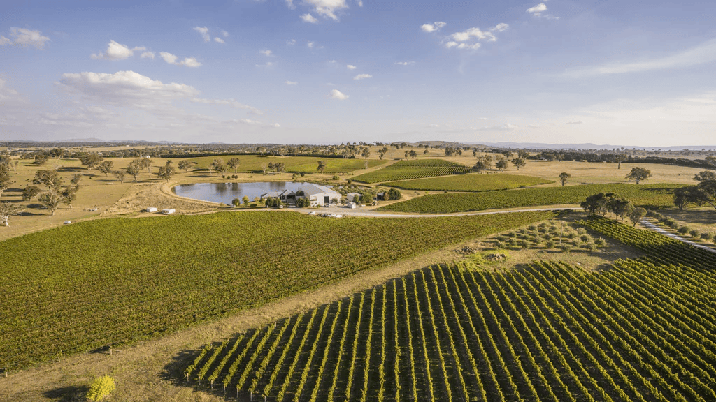 邀请函 |2024年新南威尔士州葡萄酒大中华区路演