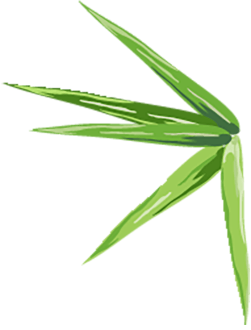 强"特"提效,打造产业兴旺新陇南——加快建设高质量