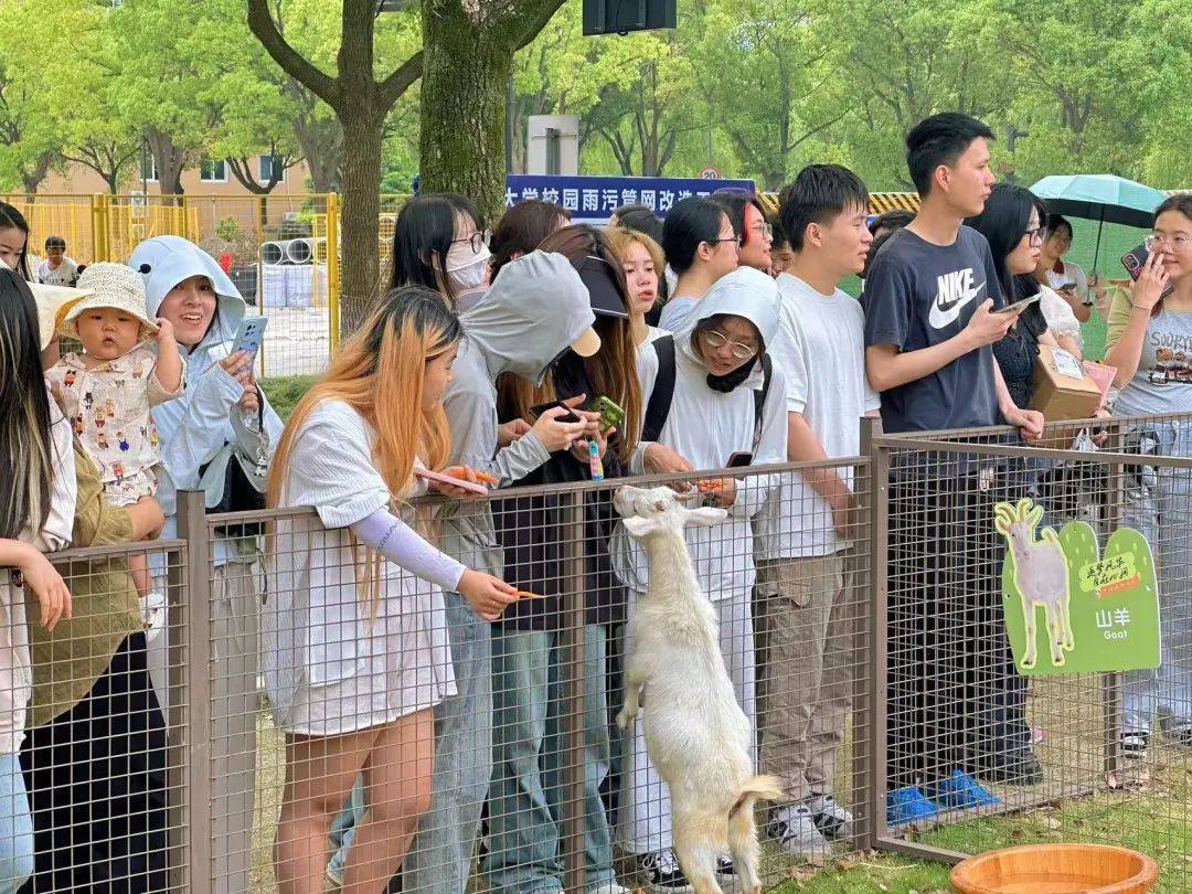 京东【欧洲杯外围哪里玩】-2024观澜湖FILA GOLF高尔夫马拉松大赛开幕  第3张