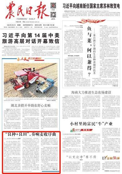 农民日报:"良种 良田",奏响麦收序曲