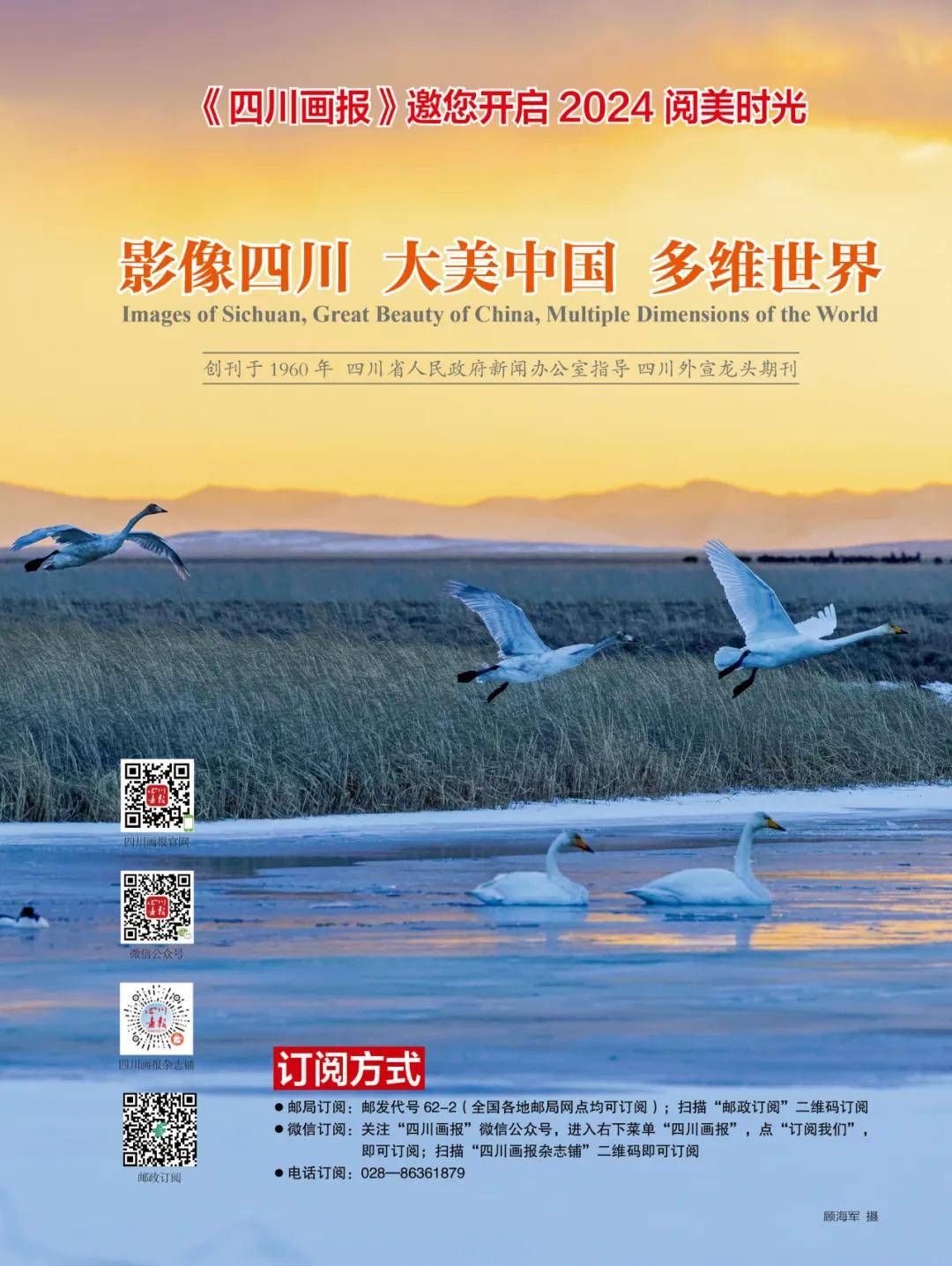 世界级名录 2 | 无茶馆,不成都