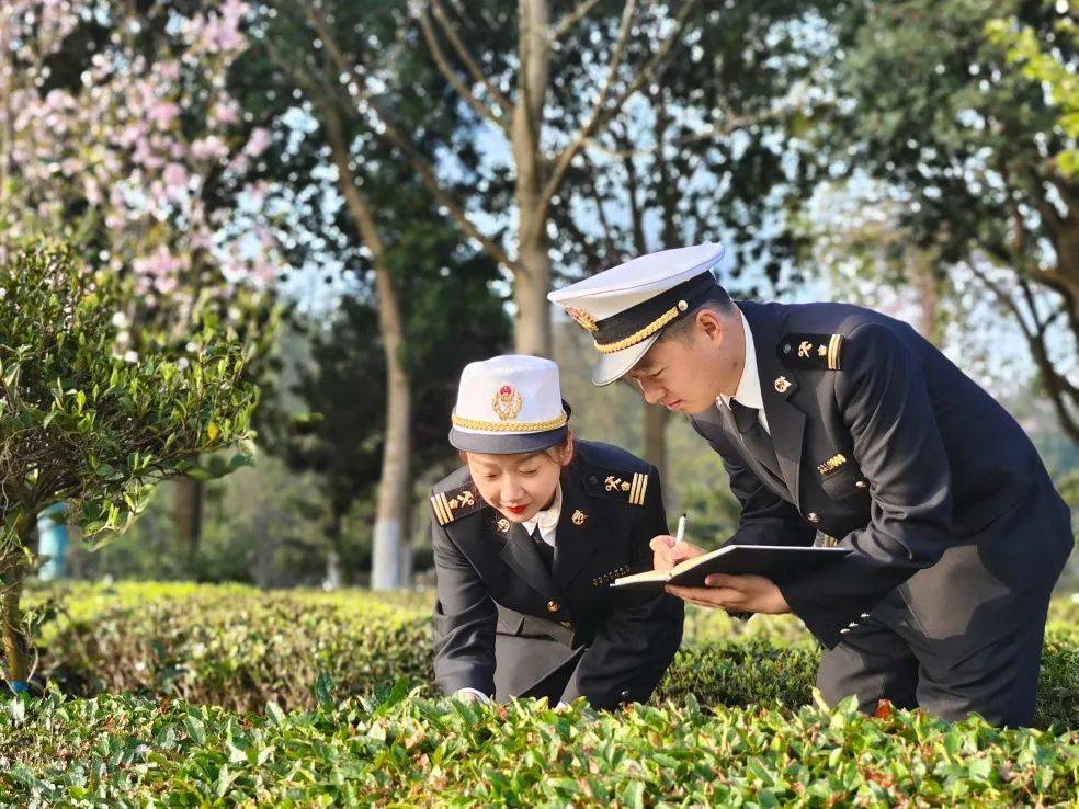 合法e站|"关"于海关执法的"典典"滴滴