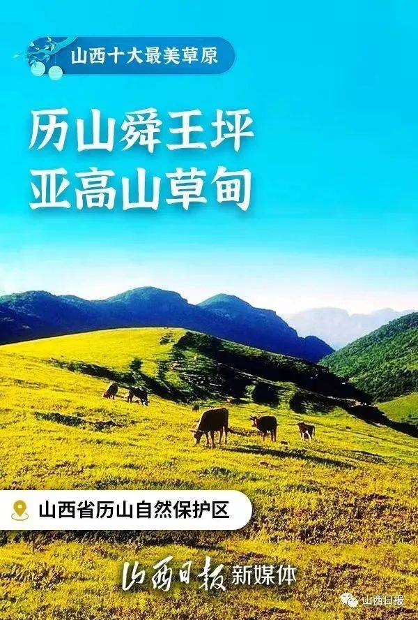 不用去新疆,山西人也有自己的"阿勒泰"!