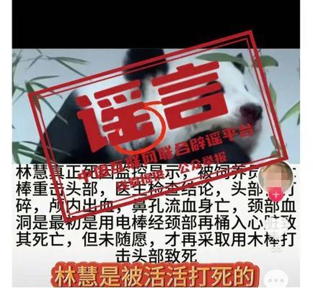 🌸津云【澳门一码一肖一特一中今晚】|中概板块有望迎反转，资金逢低加仓中概互联网ETF(159607)  第5张