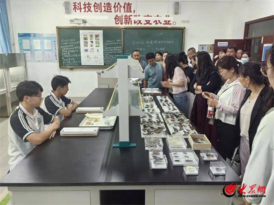 中国文化公园：新澳门精准资料大全管家婆料-华夏视听教育（01981.HK）6月14日收盘涨1.09%