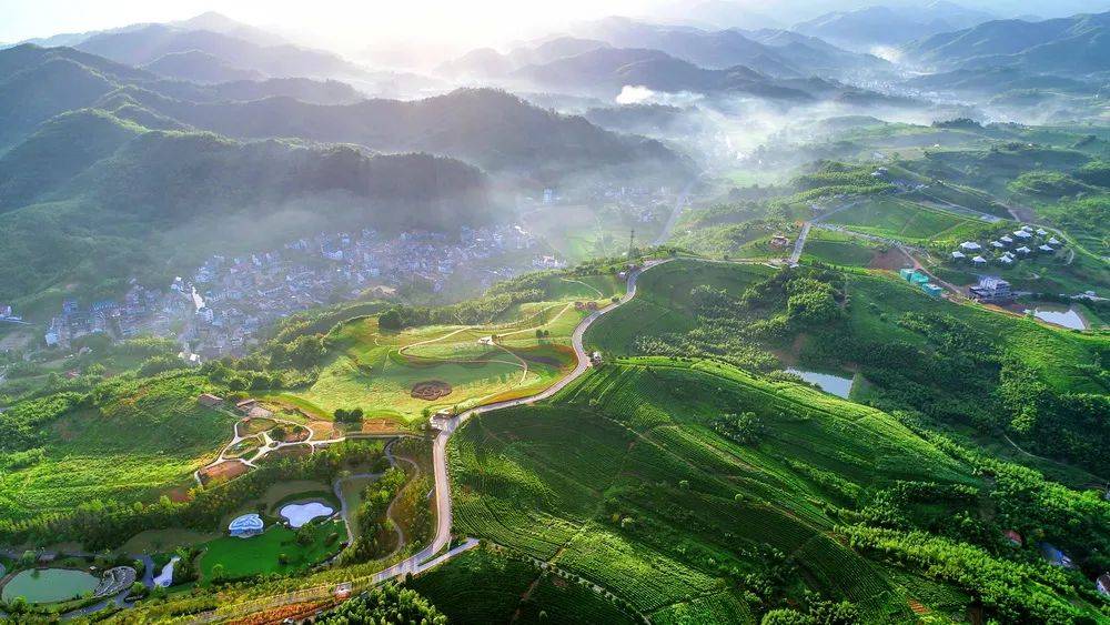 总稿酬10万!诸暨寻找这几张照片.