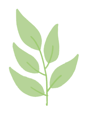 学校党委副书记白莽出席活动并讲话,国际关系学院副教授李胜强,以及