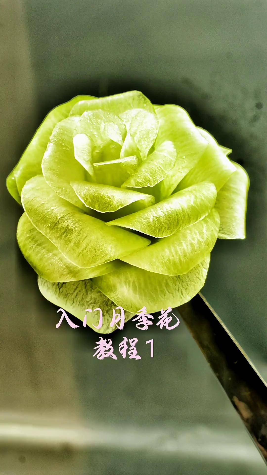 食品雕刻教学 食品雕刻食品雕刻月季花