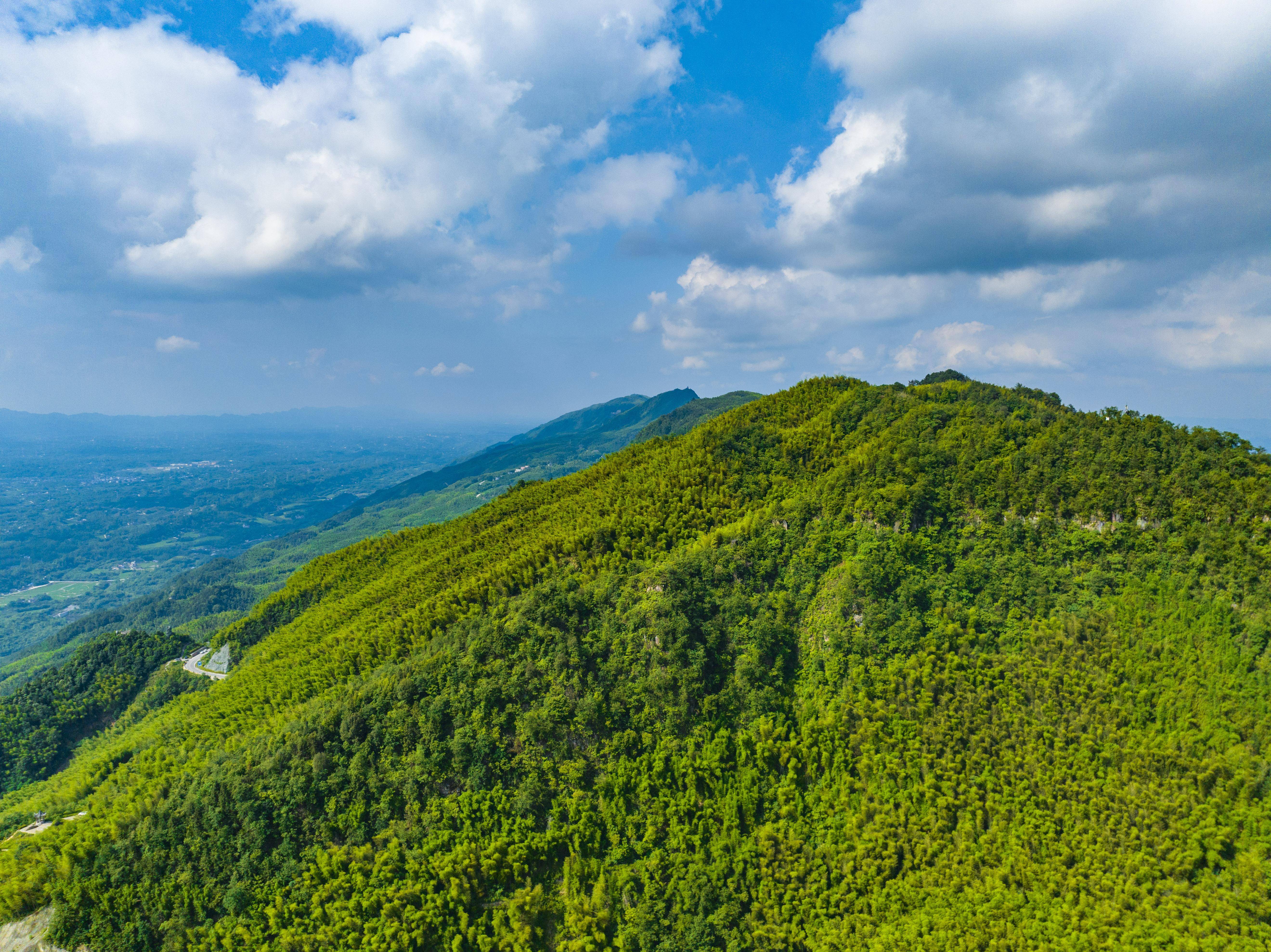 茶山竹海景区图片