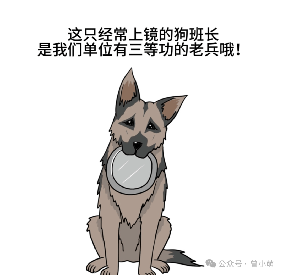 部队里的狗班长