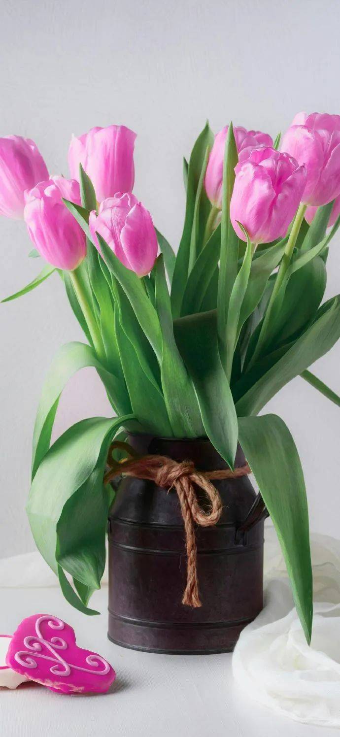 壁纸合集 | 今日份小清新壁纸