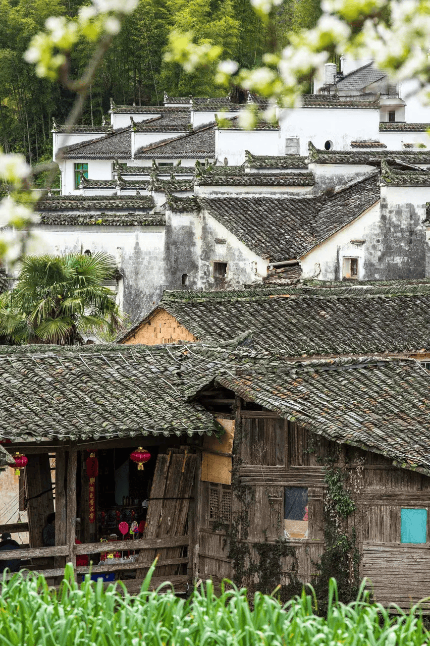 高铁直达!别去婺源挤了,这座花费26亿元打造的江西绝美古村