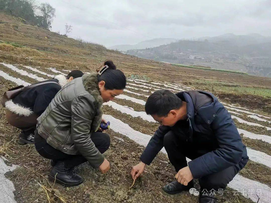 自讨"苦"吃!这个毕节人